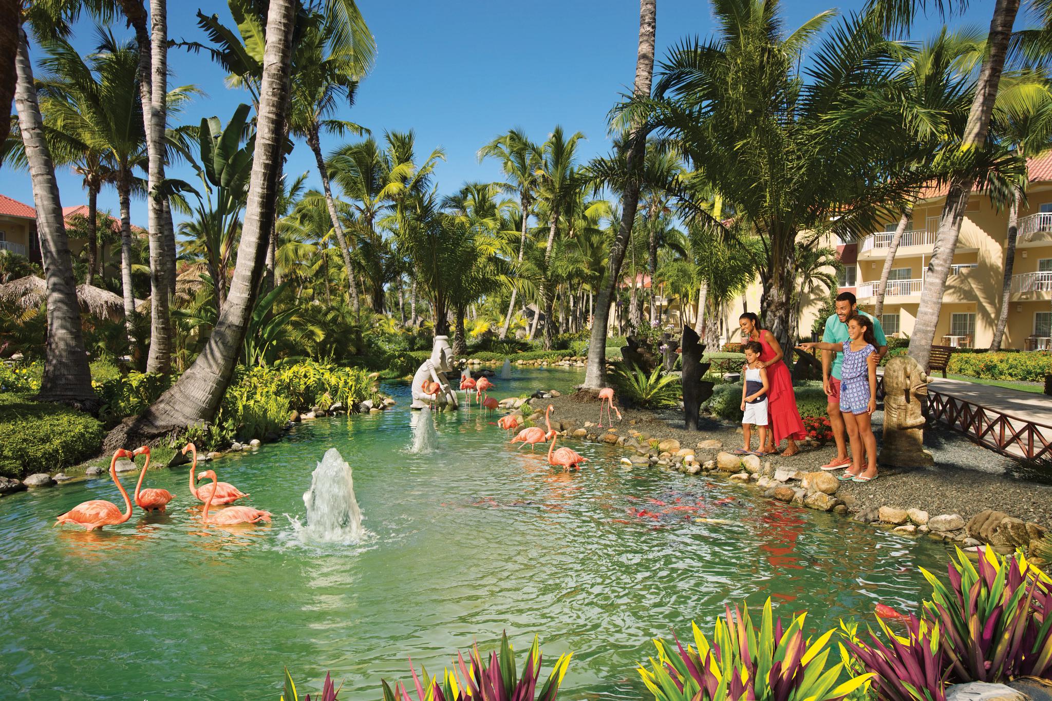 Resort Dreams Resort&spa
